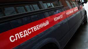 Житель Подмосковья насмерть сбил своего брата, пытаясь записать видео для соцсети